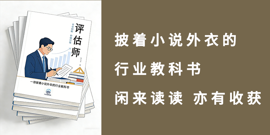 行业小说《评估师》